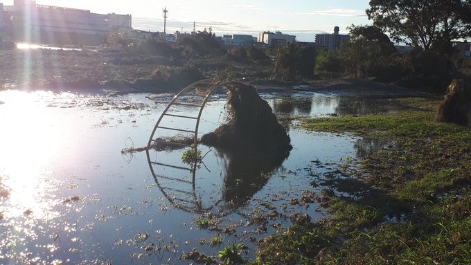 猛烈台風の襲来する中ダイエット継続・サラバTwitter：2019/10/11-15twitterまとめラスト_b0116271_15125536.jpg