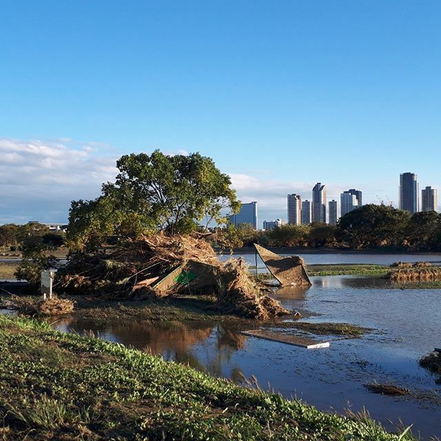 猛烈台風の襲来する中ダイエット継続・サラバTwitter：2019/10/11-15twitterまとめラスト_b0116271_15160809.jpg