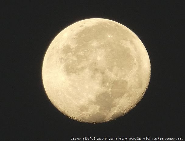 c0139375_12185885.jpg