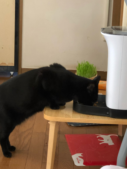 立ち食いカリカリ_e0355177_18361760.jpg