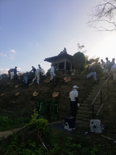 ツツジ植え_d0195183_00351061.jpg