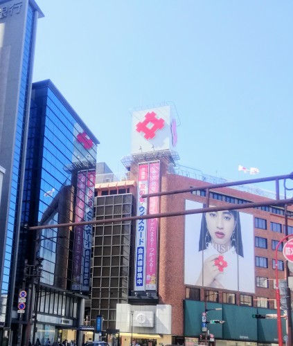 ツツジ植え_d0195183_00520264.jpg
