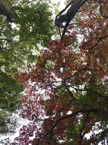 仲洞爺_b0199097_12210743.jpg