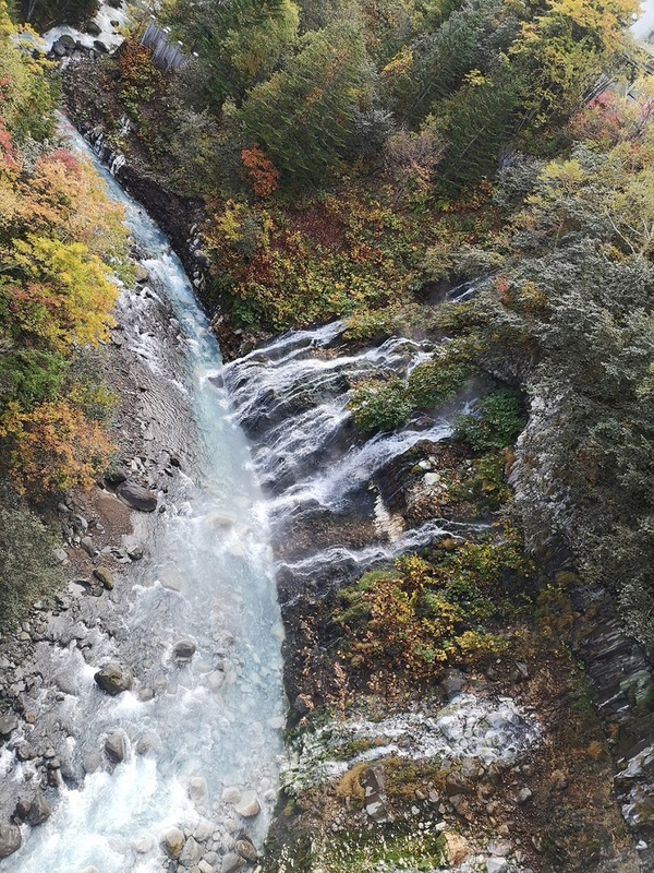 b0109511_538280.jpg