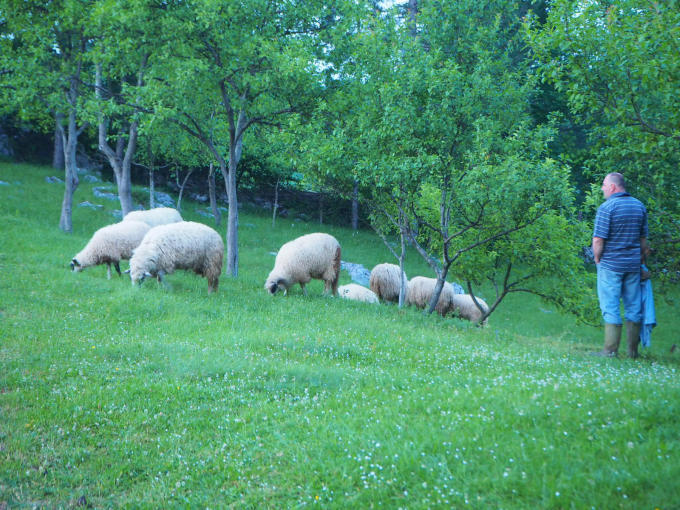 イタリア・クロアチア旅行2019年6月12 6日目 プリトヴィッツェ湖畔国立公園①_c0282432_13161699.jpg