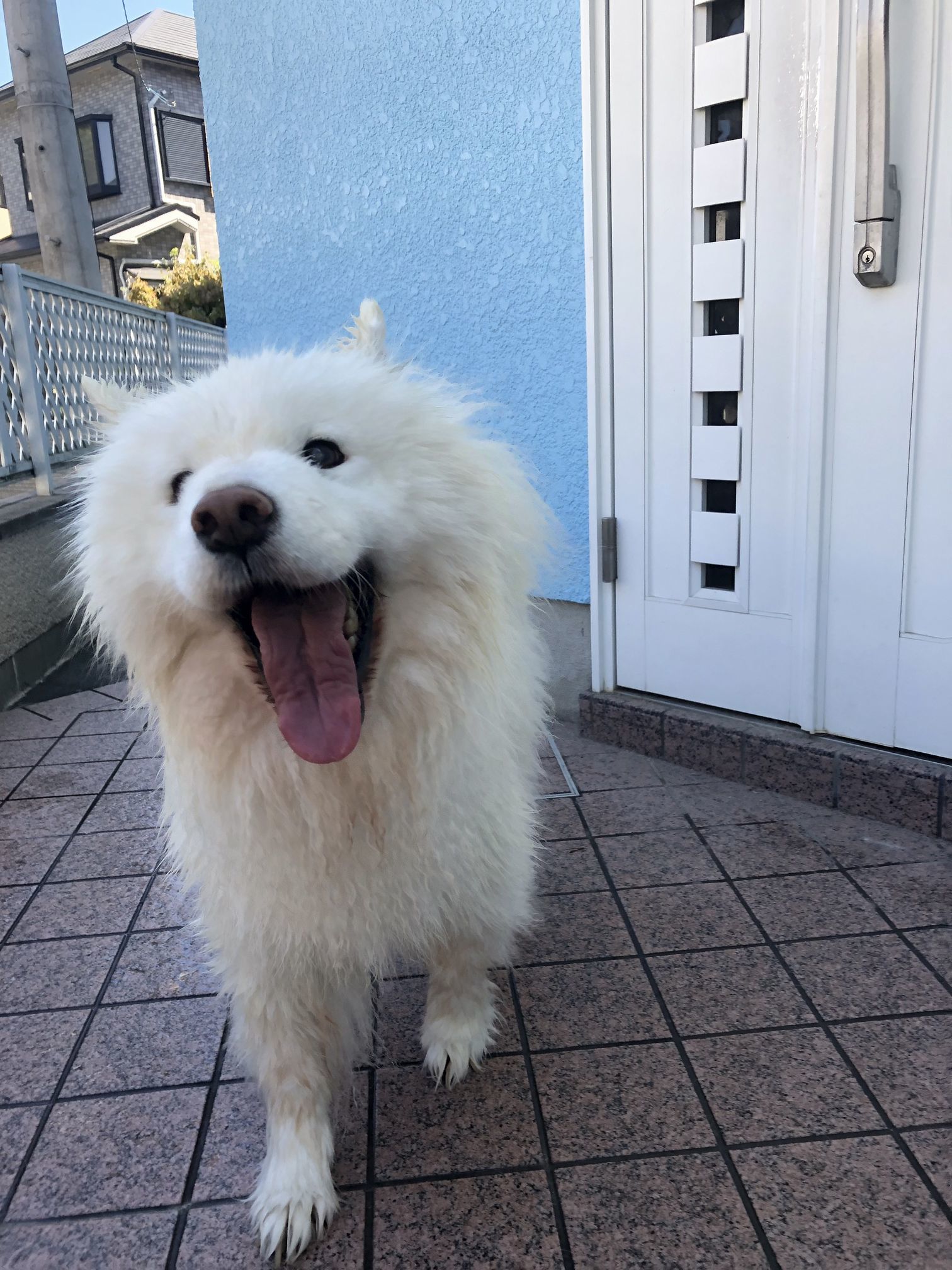 2019年9月後半 インスタ写真集 その2_f0128542_14392266.jpg