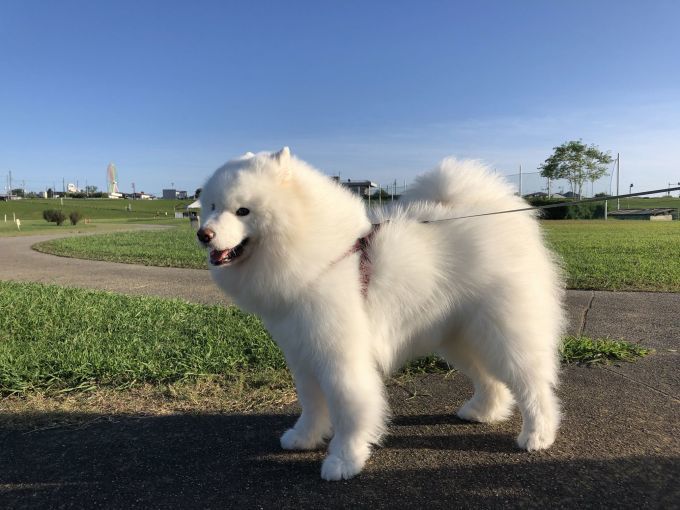 2019年9月後半 インスタ写真集 その2_f0128542_14404030.jpg