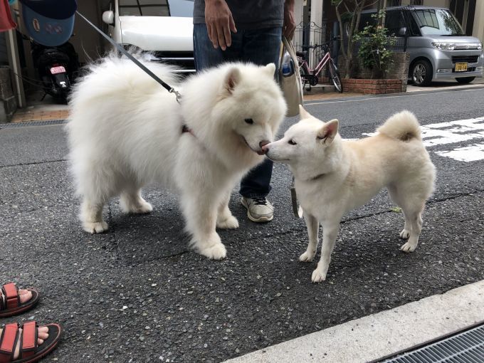 2019年9月後半 インスタ写真集 その2_f0128542_14485777.jpg