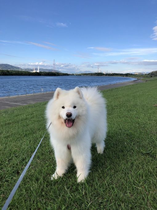 2019年9月後半 インスタ写真集 その2_f0128542_14521079.jpg