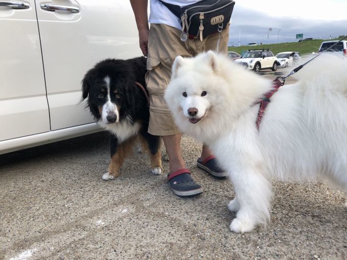 2019年9月後半 インスタ写真集 その2_f0128542_14550726.jpg