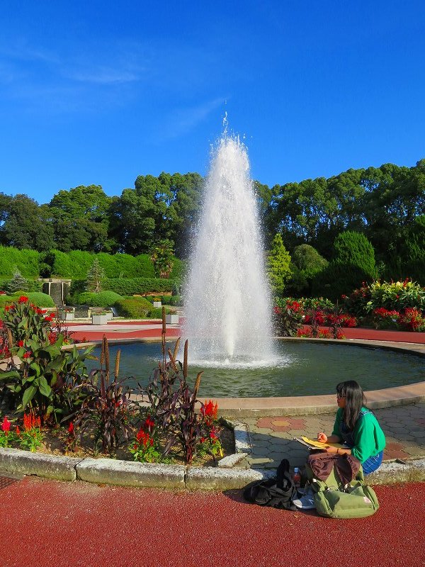 綺麗に彩られた植物園の花々20191016_e0237645_16553275.jpg