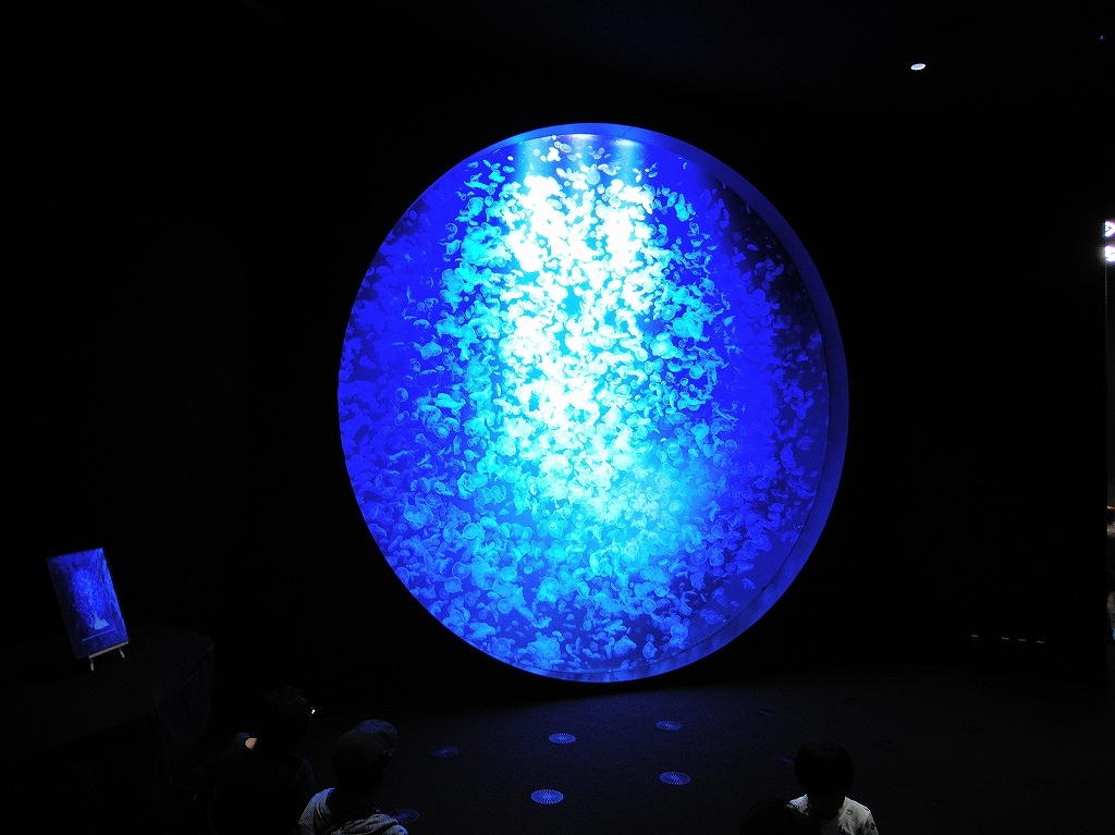 加茂水族館@鶴岡 #2_a0384046_22211532.jpg