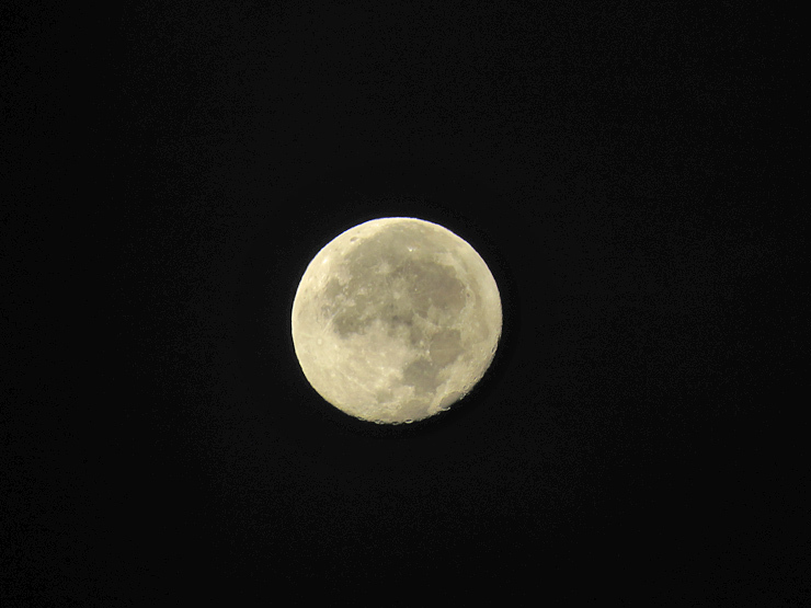 金色の空_f0214649_04513316.jpg