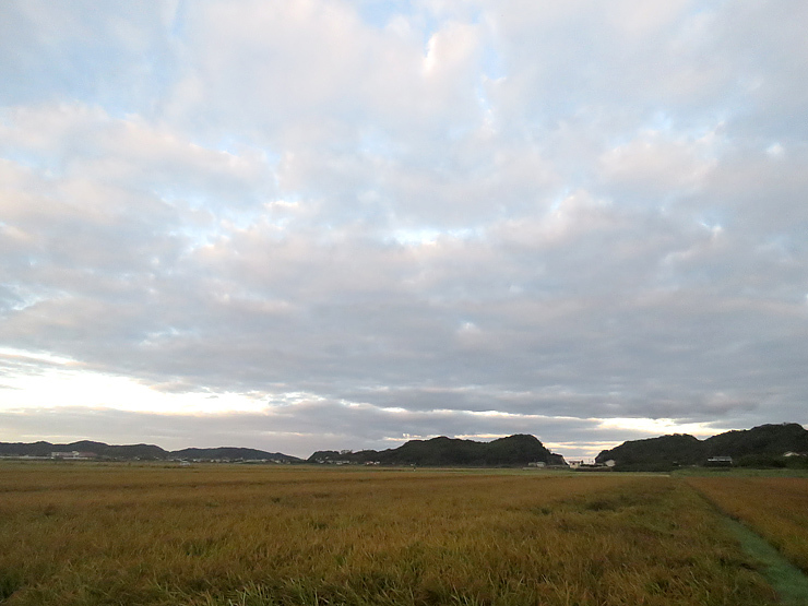 金色の空_f0214649_04580484.jpg