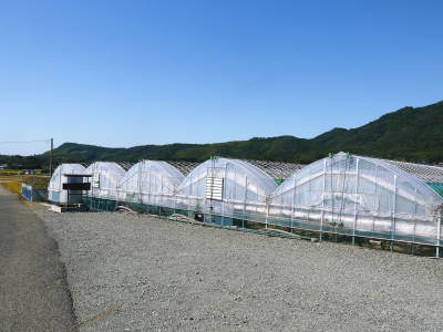 熊本ぶどう 社方園 収穫を終えたぶどう園にお礼肥えです!鹿本農業高校から来た実習生と共に(2019)後編_a0254656_17470405.jpg