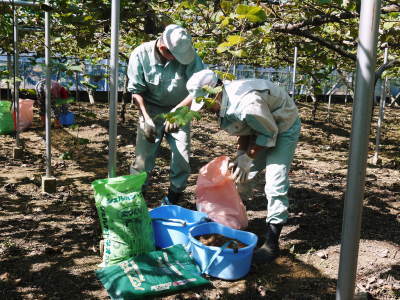 熊本ぶどう 社方園 収穫を終えたぶどう園にお礼肥えです!鹿本農業高校から来た実習生と共に(2019)後編_a0254656_18072924.jpg