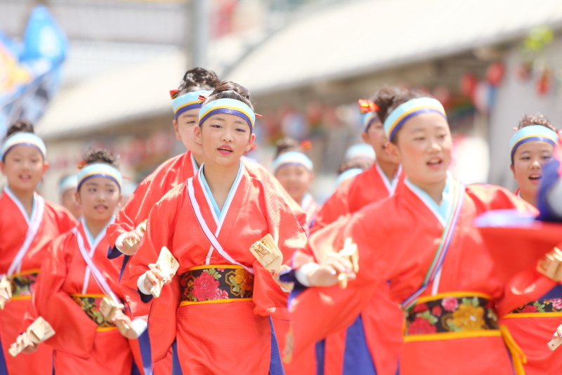 第66回よさこい祭り 本番2日目 升形地域競演場 総合クラブとさ「青龍」 その1_a0077663_15441877.jpg