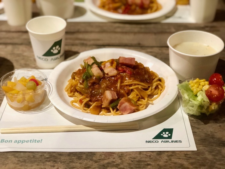 飛行機キャンプ〔１日目〕たっぷりと飛行機に浸かった今夜の夕食は「機内食」スタイル。NECO AIRLINES! 夜の日記にも飛行機のことをたっぷりと描き込んで、おやすみなさーい。_d0363878_00011644.jpg