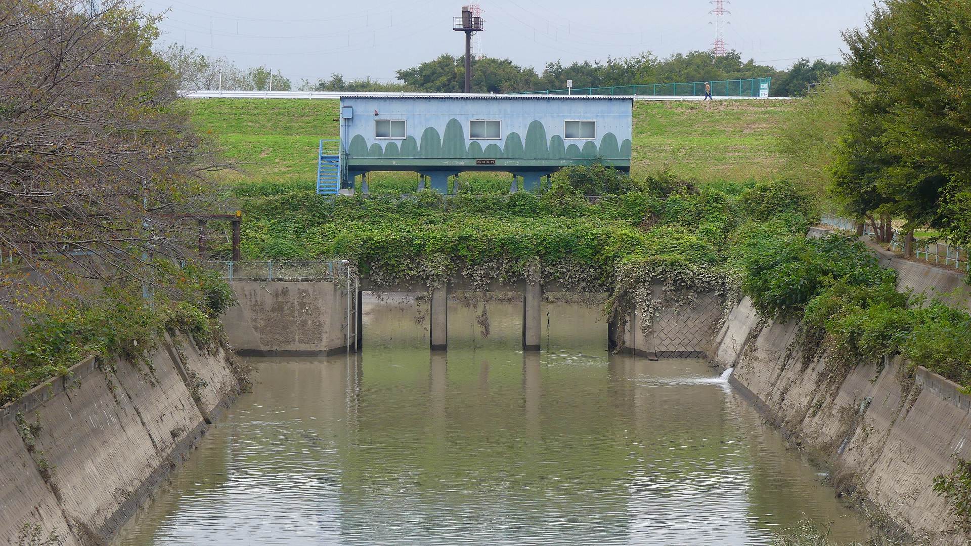 さくら草水門に行ってみた　【 2019　10/17（木) 】_a0185081_13542358.jpg