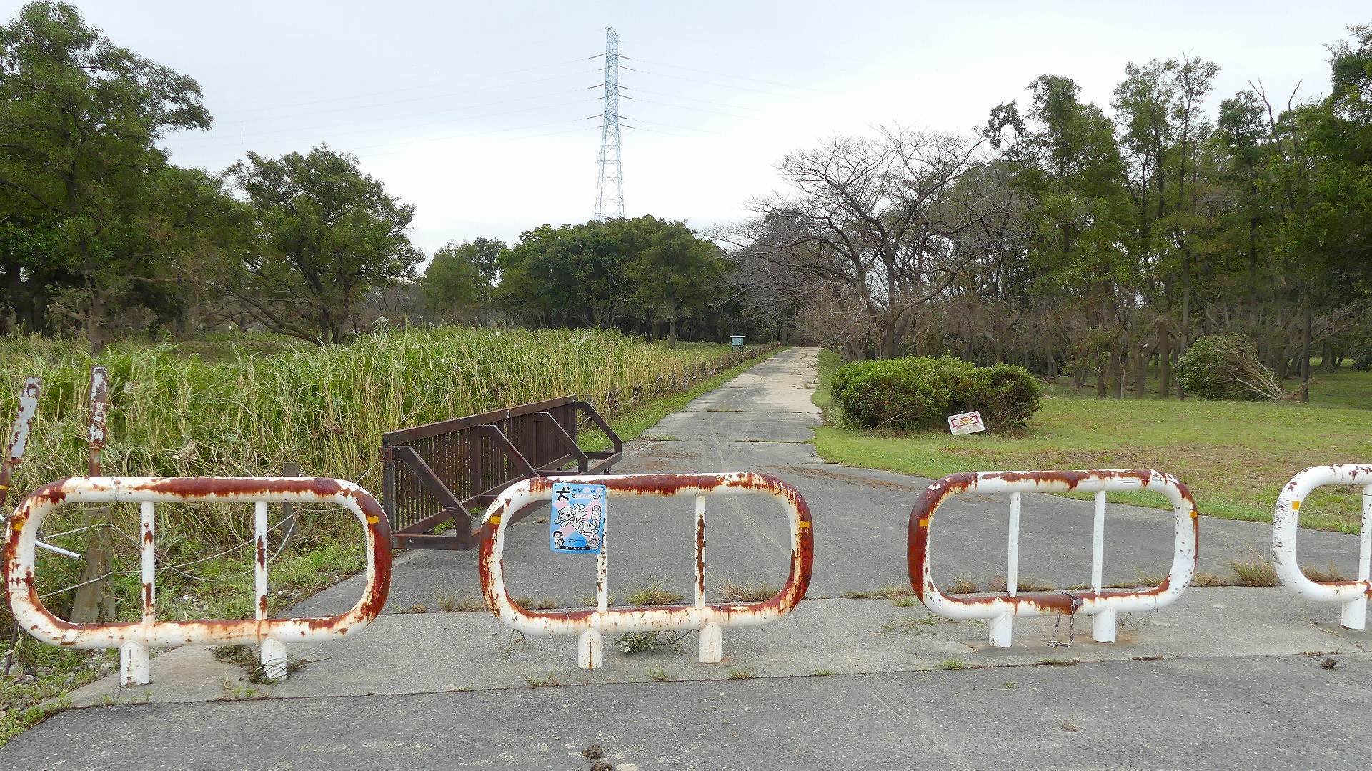 さくら草水門に行ってみた 【 2019 10/17(木) 】_a0185081_14203332.jpg
