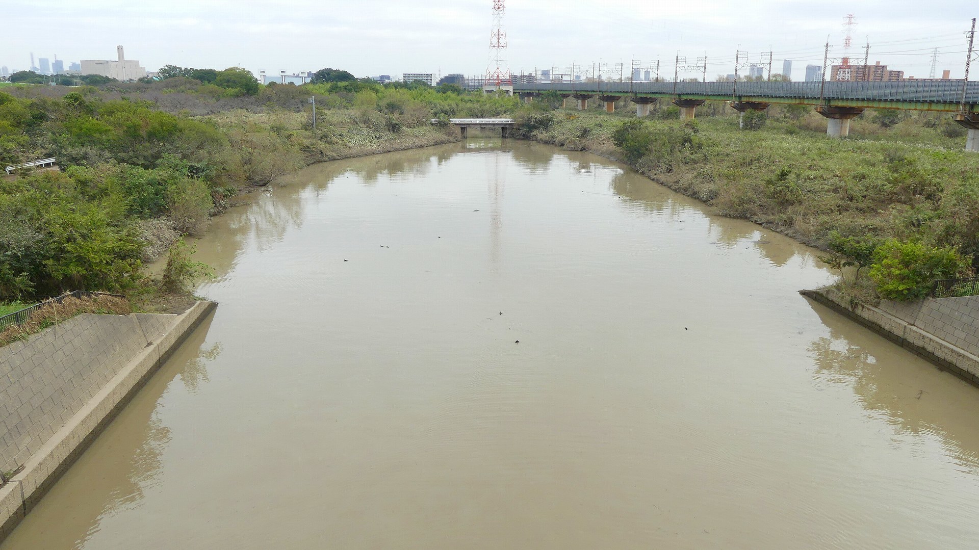 さくら草水門に行ってみた 【 2019 10/17(木) 】_a0185081_14560876.jpg