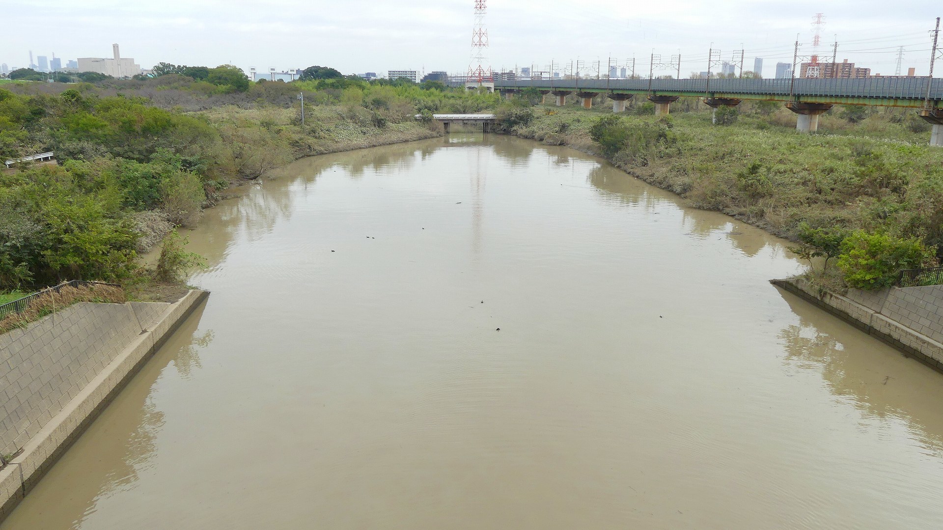 さくら草水門に行ってみた　【 2019　10/17（木) 】_a0185081_14560876.jpg