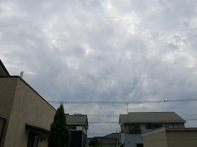 e0130185_2056355.jpg