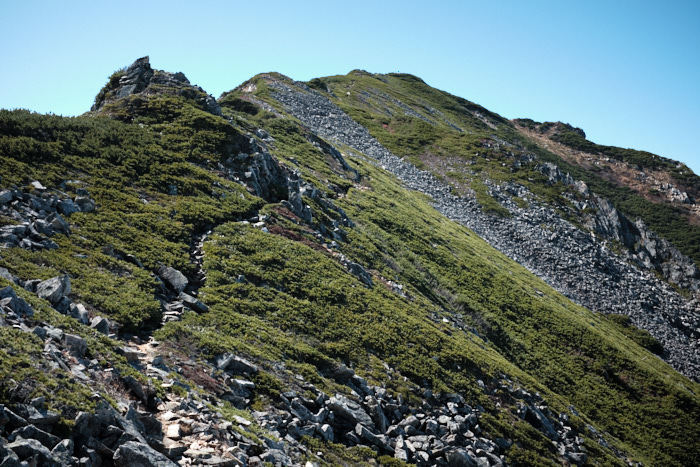b0339488_14593449.jpg