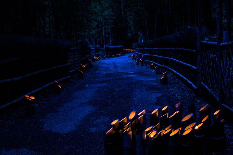かぐやの夕べ 京都写真 Kyoto Photo かぐやの夕べ 京都写真 Kyoto Photo