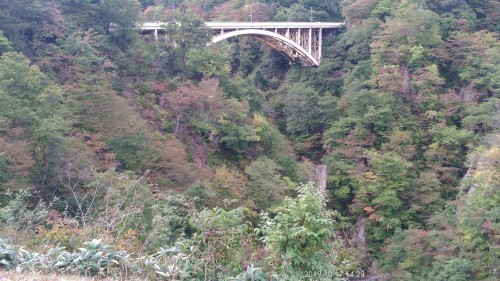 f0166694_20491271.jpg