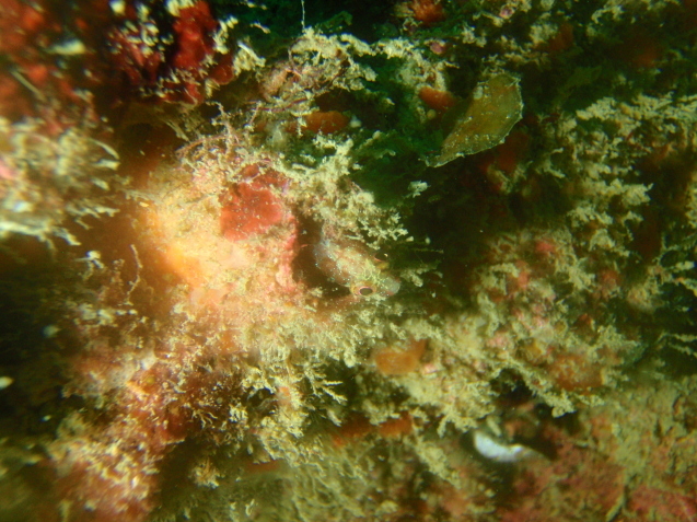 e0115199_13124985.jpg