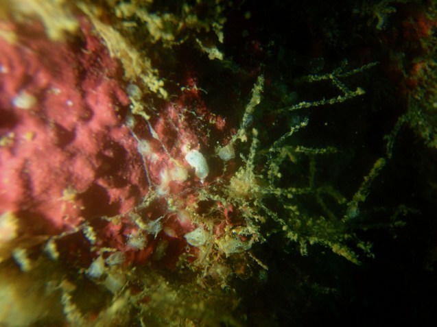 e0115199_13125686.jpg