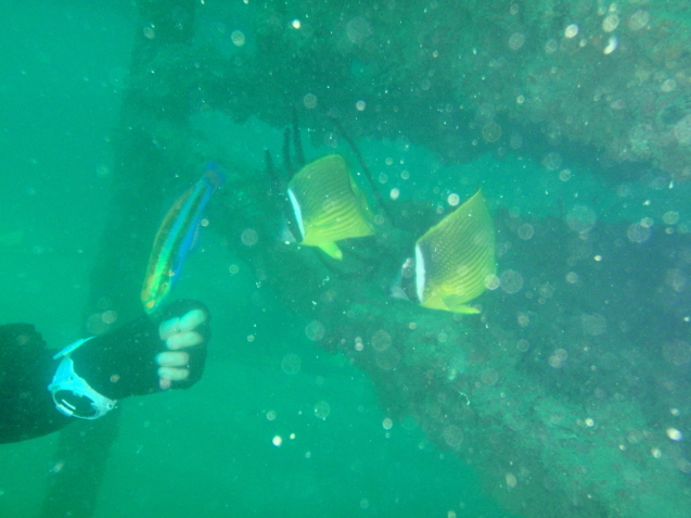 e0115199_13141596.jpg