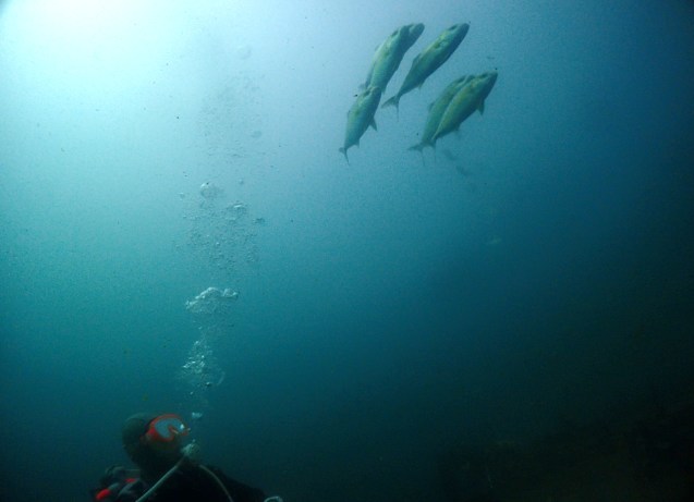 e0115199_13471403.jpg