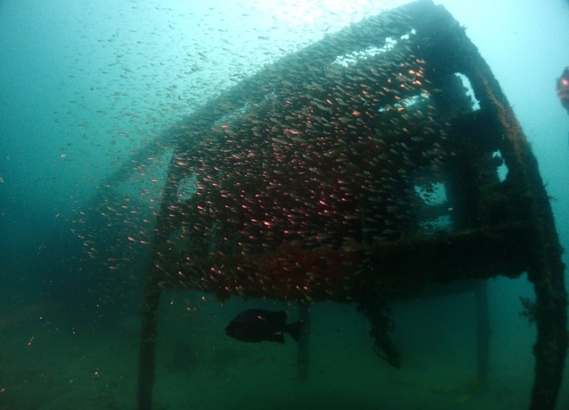 e0115199_13472420.jpg