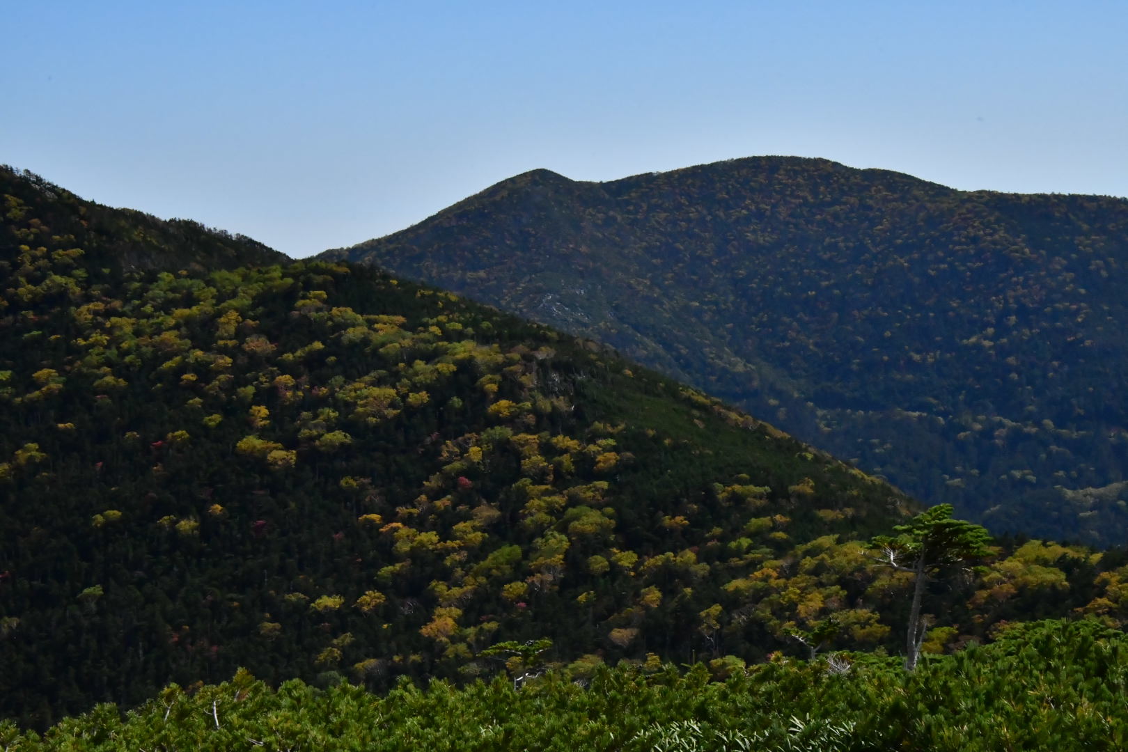 Wandern その2_b0223512_23081382.jpeg