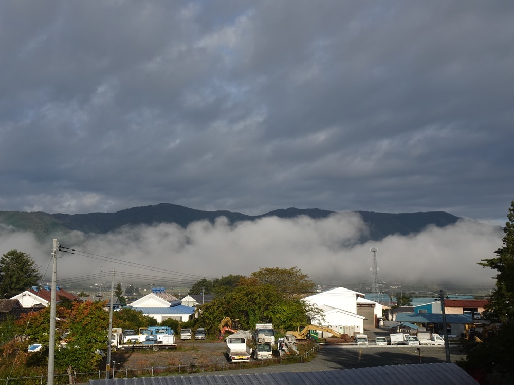 神社庁に_c0111229_17220516.jpg