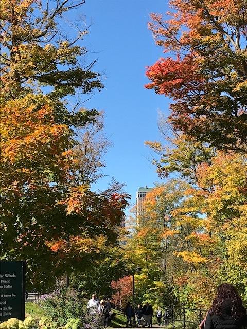 やっぱり圧巻 ナイアガラの滝 + 紅葉街道_d0269832_23475722.jpeg