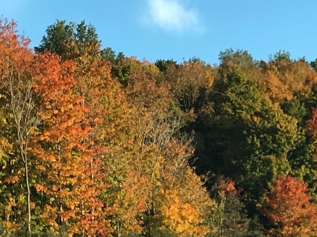やっぱり圧巻 ナイアガラの滝 + 紅葉街道_d0269832_23531178.jpeg