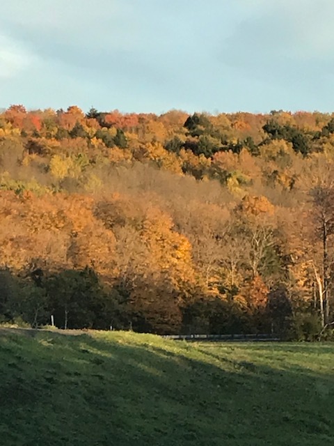 やっぱり圧巻 ナイアガラの滝 + 紅葉街道_d0269832_23535456.jpeg