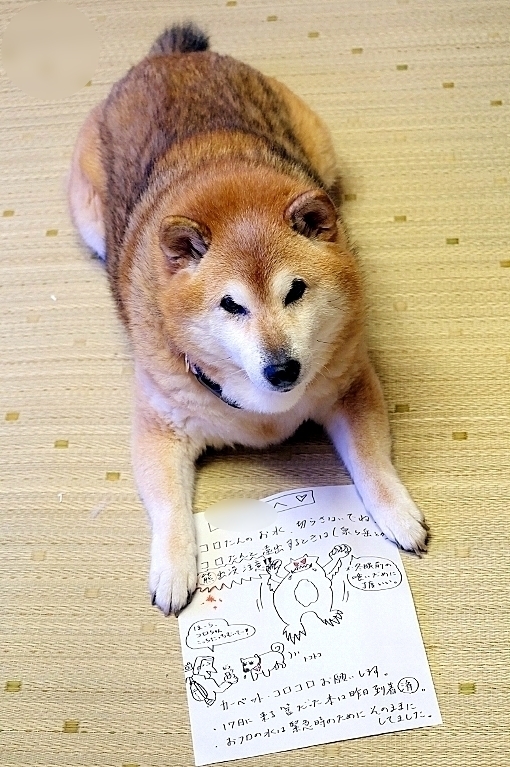 絵心のある書き置き_b0314043_07173610.jpg