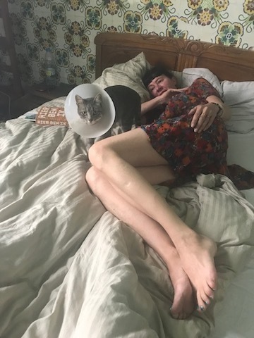 ポルトガルの・・・猫の森事件帖_b0396150_09522566.jpeg