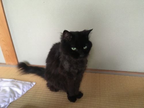 a0152454_09501977.jpeg