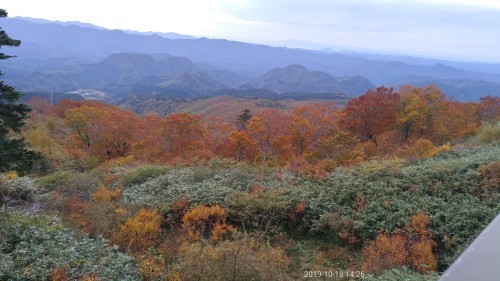 f0166694_17331754.jpg