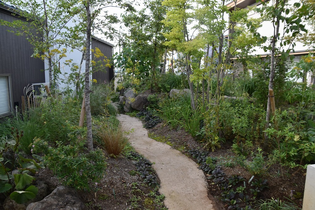 c0124100_17115459.jpg