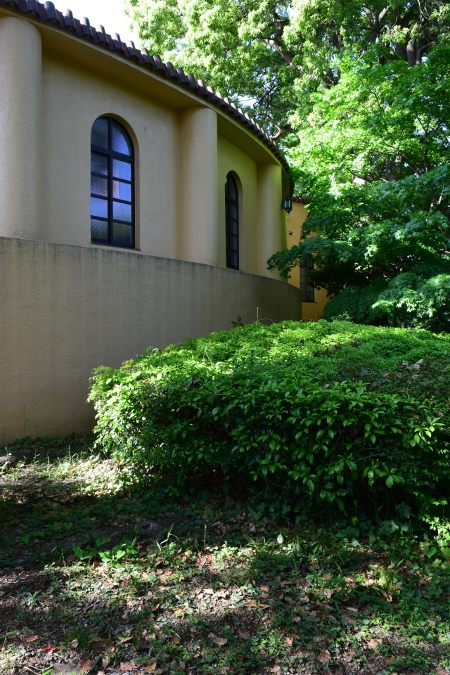 建築家・関根要太郎展開催のお知らせ_f0142606_10293866.jpg