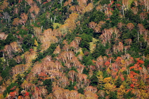 a0263109_14054709.jpg