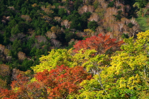 a0263109_14054740.jpg