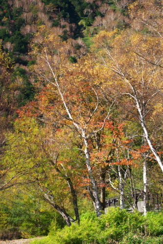 a0263109_14054822.jpg