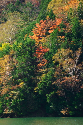 a0263109_14054861.jpg